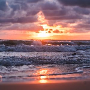 Meet your Posher, Ziggy